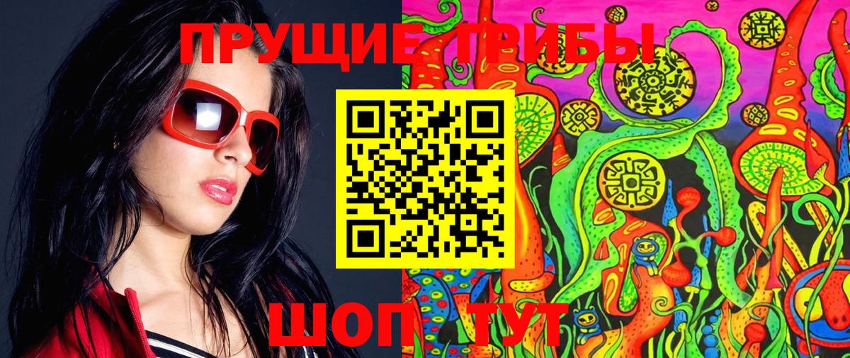 Псилоцибиновые грибы Psilocybe Кирово-Чепецк