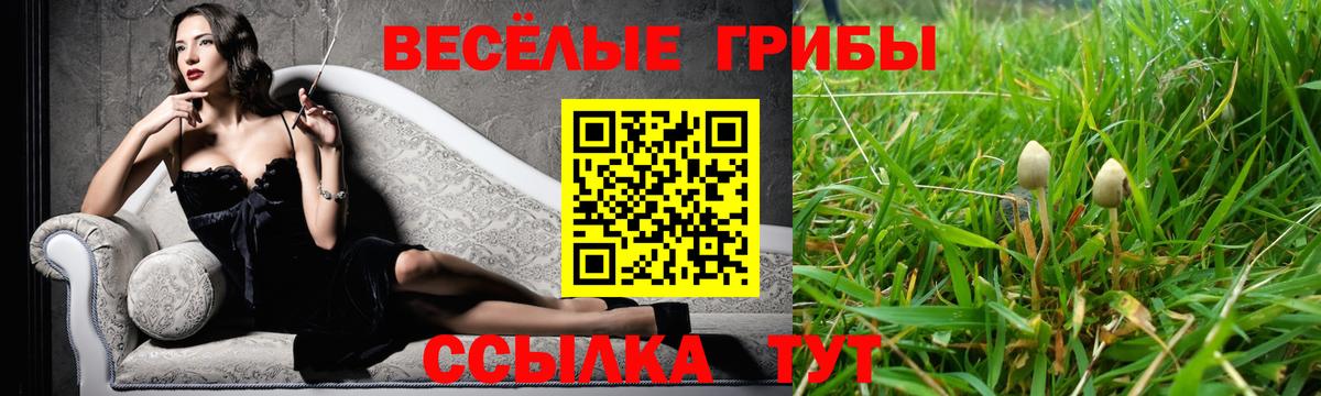 где можно купить наркотик  Вход с VPN  Кирово-Чепецк  Псилоцибиновые грибы Magic Shrooms 